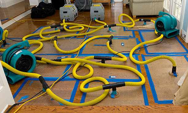 Professional Basement Flood Cleanup technician working in Overpeck, OH